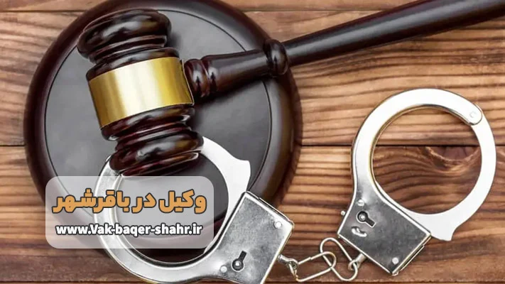 ویژگی ‌های بهترین وکیل در باقرشهر برای پرونده‌ های حقوقی و کیفری پیچیده